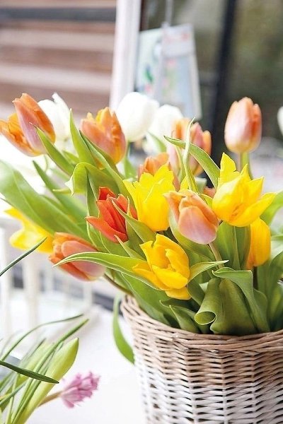 ������� ������ ������ - 6 ������ 2024 � 06:43 - 3