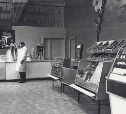 �����������