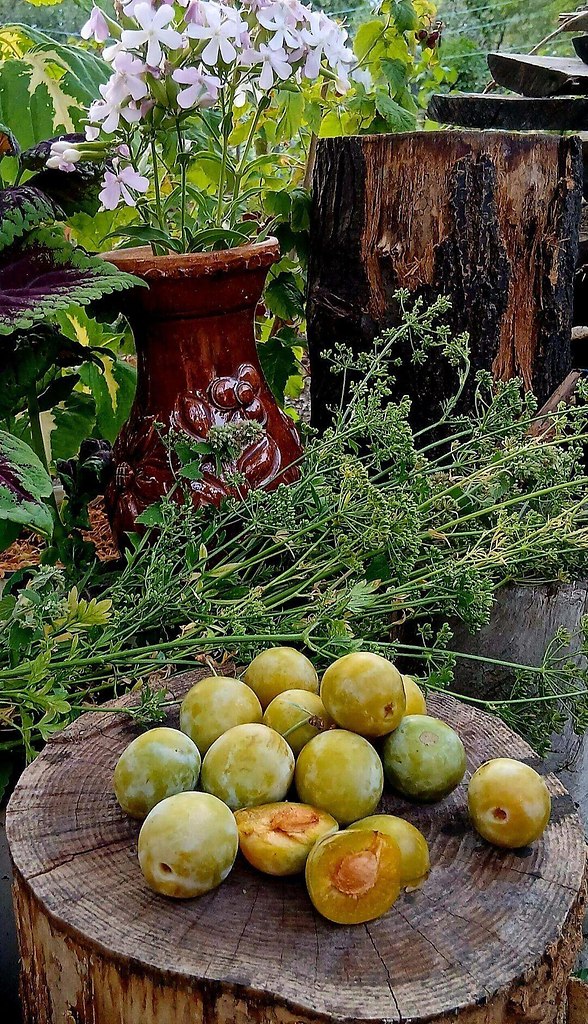  -    ., ,         ...