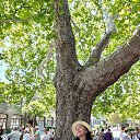 ���� �����, ���������, 51 ��� - ��������� 27 ���� 2025 � ������ ���� ����������