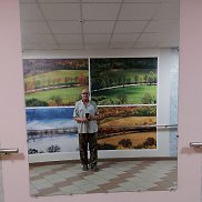 , 62 , 