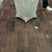 Dan10, 36 ���, ����