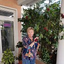 ���� �������, ������, 71 ��� - ��������� 6 ������� 2024 � ������ ���� ����������