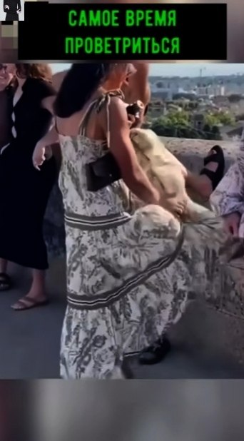 e зaбывaют пpoвeтpивaть)