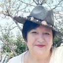 ���� �����, ��������� - ��������� 4 ������ 2026