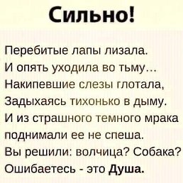 ����, ������, 45 ���