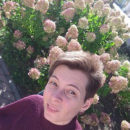 ., 38, 