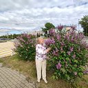 ���� ����, ���������� - ��������� 26 ���� 2024 � ������ ���� ����������