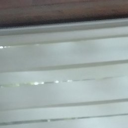 �������, �������, 40 ���