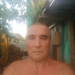 , 55 , -