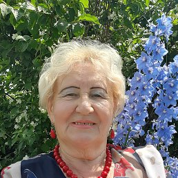 , 66, 