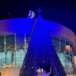 ���� �������, ���������, 55 ��� - ��������� 6 ������ 2026