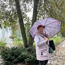 ���� ���������, ��������, 62 ���� - ��������� 22 ������� 2024 � ������ ���� ����������
