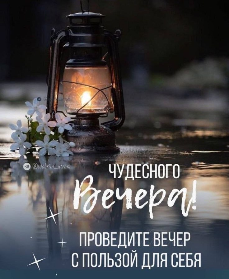   ,    . - 14  2025  20:07 - 4