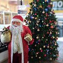 ���� �����, ����, 42 ���� - ��������� 8 ������ 2024 � ������ ���� ����������