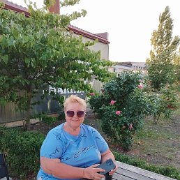 , 65, 