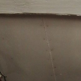 ����, ����, 55 ���