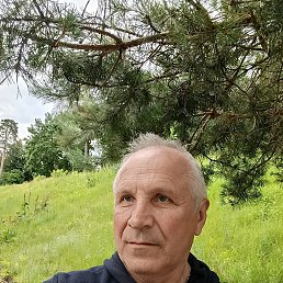 , 62, 