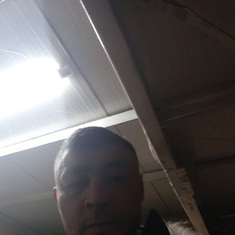 ������, ������, 41 ���