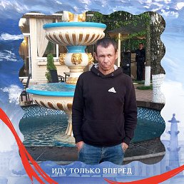 ������, 44 ����, ��������