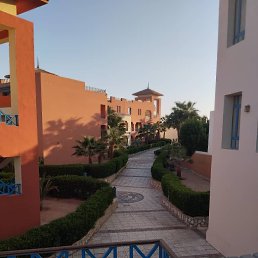 ���� �����, ������, 39 ��� - ��������� 7 ������� 2026