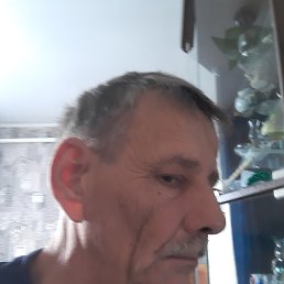 , 56, 