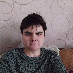 ���, 33 ����, ���������