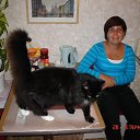 ���� �����, ���������, 54 ���� - ��������� 21 ����� 2025 � ������ ���� ����������