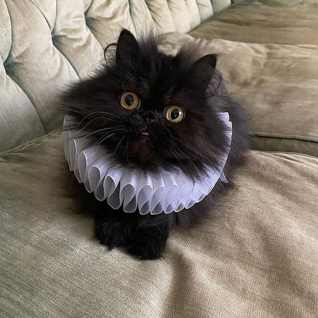 ��� � ����!