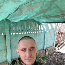 , 33 , 