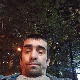 , 37, 