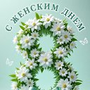 ���� �����, �����-��������� - ��������� 8 ����� 2026 � ������ ������ ��������