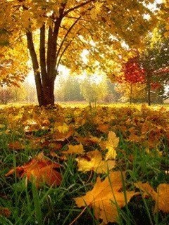 ..����� ���� ����� � ����������� � �������. ������ ���� ����������� �����,��� �������� �������� ... - 3