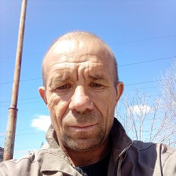 , 43, 