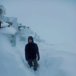 ����, �����������, 20 ���