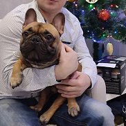 �����, 51 ���, ������������