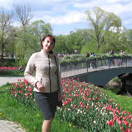 , 53, 