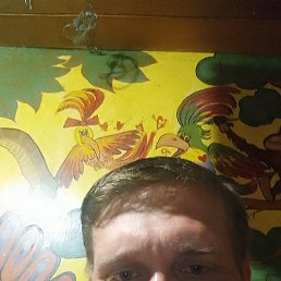 , 44,  