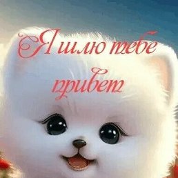 ���� �������, ������, 42 ���� - ��������� 15 ������ 2024