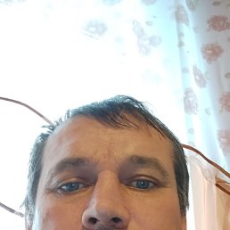 ��������� ��������, 41 ���, ����������