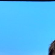 ����, 42 ����, �����