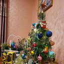 ���� Lenchic, �������, 47 ��� - ��������� 12 ������ 2024 � ������ ���� ����������