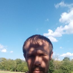 , 33, 