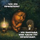 ���� ����, ��������� - ��������� 1 ���� 2026 � ������ ������ ��������