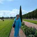  ,  -  5  2025       ,    ,     .