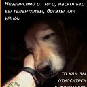 ���� �����, ���������, 70 ��� - ��������� 14 ������� 2025 � ������ ���� ����������