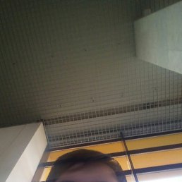 ��������, ���������, 34 ����