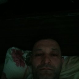 ����, 46 ���, �����-���������