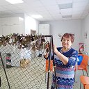 ���� ������, ��������, 75 ��� - ��������� 2 ����� 2026 � ������ �� �������