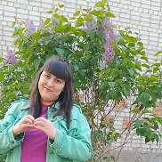 , 33 , 